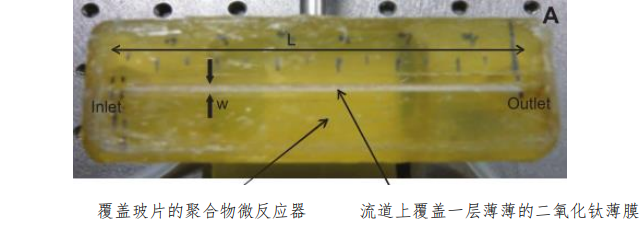 圖 1 聚合物微通道反應器示意圖